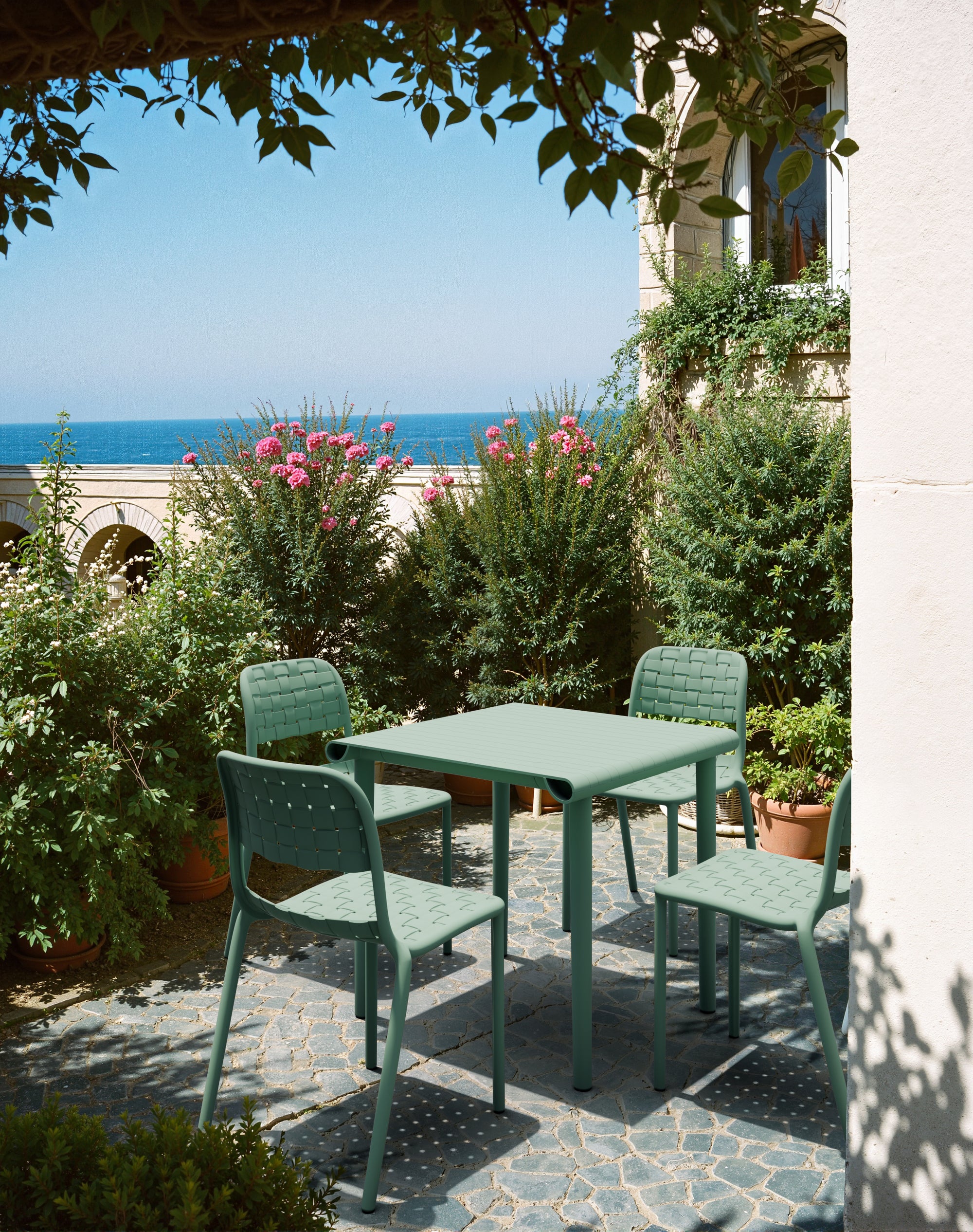 Scacchi & Schach-Vorsitzender